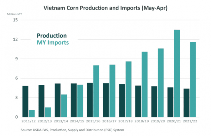 Đồ họa mô tả sản lượng ngô trong nước (xanh đậm) và lượng nhập khẩu ngô (xanh nhạt) của Việt Nam từ 2011 đến năm 2021 (đơn vị triệu tấn). Nguồn: USDA