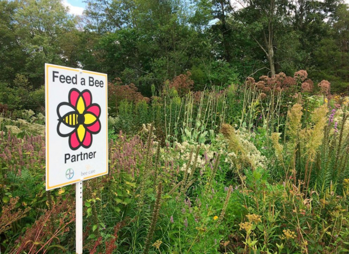 A sign marks a flower garden specifically grown to support bees and other pollinators in Massapequa, Long Island, N.Y., Aug. 25, 2017. Photo: UIG