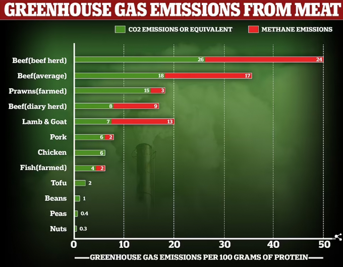 Mr Valeur predicted that pork and other meats can be made more environmentally sustainable without drastically cutting supplies - but that production of beef, by far the most-polluting meat to produce, will have to come down in order to hit the targets. Source: DM