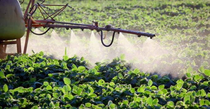 New research shows preventative foliar fertilizer applications decrease profitability. Photo: FP