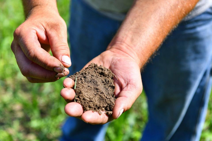 Farmer Jason Lorenz holds a handful of soil from a field he farms Tuesday, Aug. 31, 2021, near Little Falls. Photo: USA Today