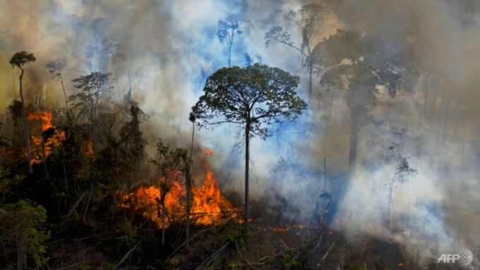 An illegally lit fire in the Amazon rainforest in Brazil's Para state - the country has vowed to eliminate illegal deforestation by 2028. Photo: AFP/Carl De Souza