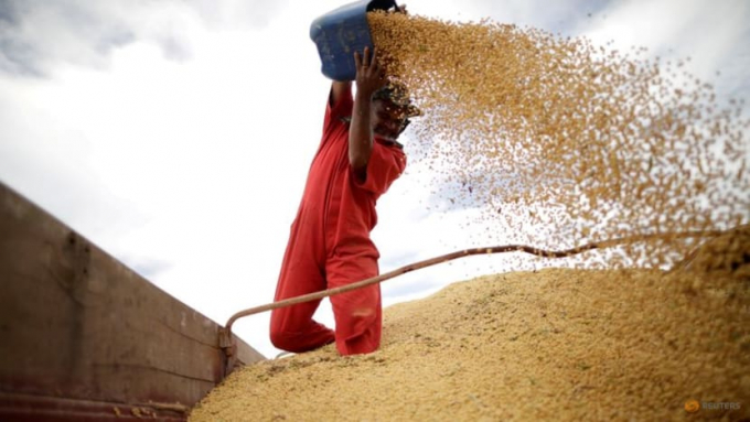 A worker inspects soybeans during the soy harvest near the town of Campos Lindos, Brazil February, 18, 2018. Photo: RT 