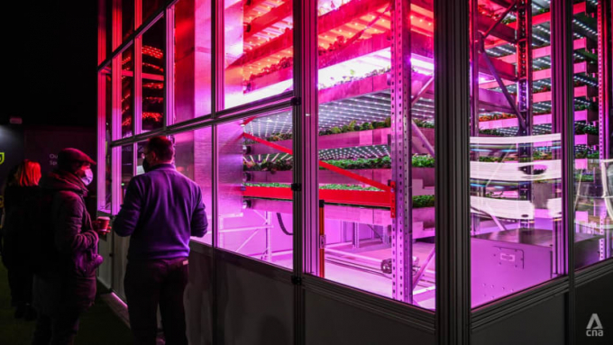 Vertical farming can save on land, energy and water costs compared to conventional agriculture. Photo: Jack Board