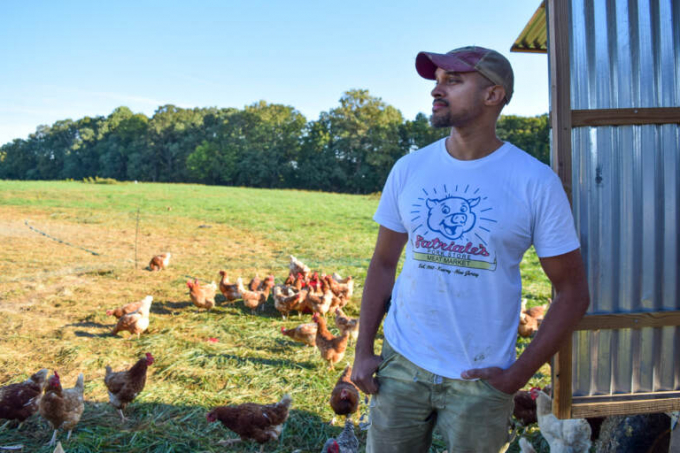 Chris Newman started a farm to raise chickens and pigs sustainably, with plenty of outdoor space. He'd also like the food to be affordable. Photo: Alan Yu