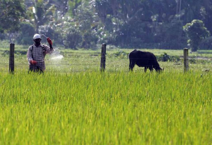 Damage control: The ban on agrochemicals including herbicides and pesticides were withdrawn. Photo: The Hindu