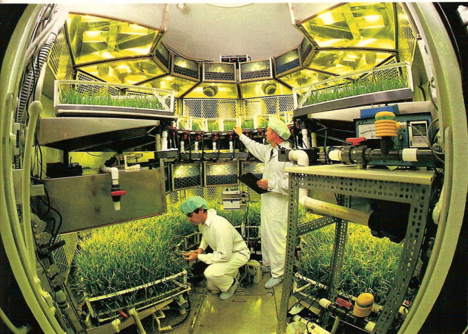 The interior of the Biomass Production Chamber at Kennedy replicated the closed growing environment astronauts will use in space or on other planets to grow fresh crops. As the first controlled environment vertical farm in the United States, the chamber helped NASA provide critical data for the indoor farming industry. NASA scientists Bill Knott, left, and Tom Dreschel examine the growth of crops. Photo: Nasa