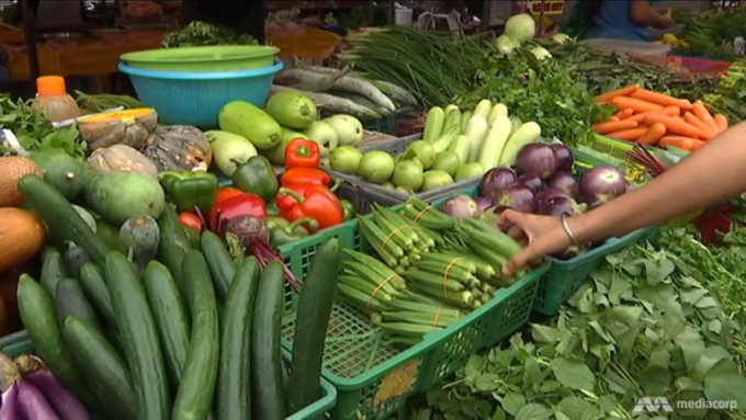 Prices of vegetables are soaring in Malaysia due to weather, labour shortage and higher production cost. Photo: Mediacorp