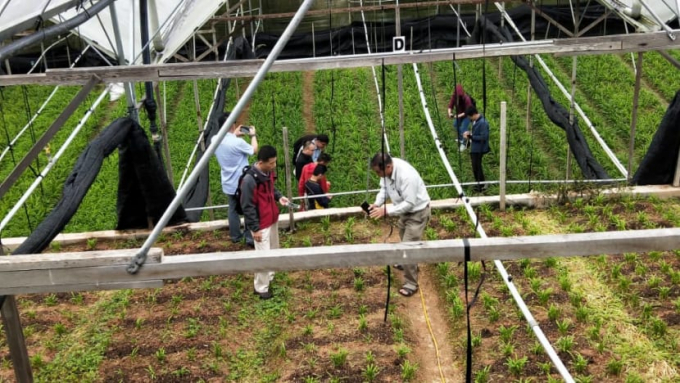 Visitors at an agro-tourism farm in the Cameron Highlands before COVID-19 pandemic. Photo: Courtesy of Chay Ee Mong