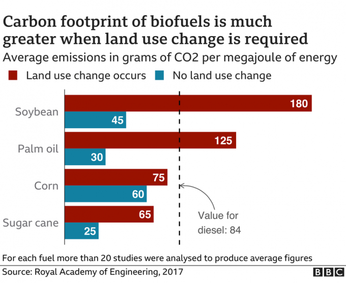 It's true the annual rate of deforestation has come down. But Indonesia continues to be one of the world's top three countries for the amount of forest loss, primarily because of new palm oil plantations.