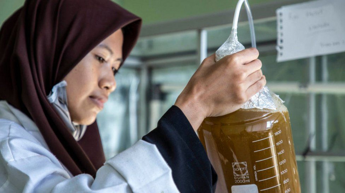 Advanced research into biofuels is being carried out in Indonesia. Photo: Getty