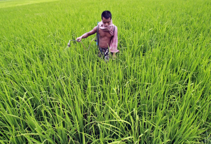 Fertiliser costs soared this year amid rising demand and lower supply. Photo: RT