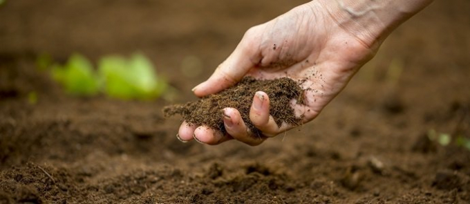 No-till farming for healthier soil and lifestyles. Photo: Getty