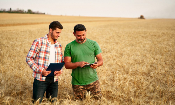 Gardin’s optical sensors can accurately detect abnormal growth effects caused by underwatering at a much faster rate than would have been observed through naked eye inspections.Photo: Getty