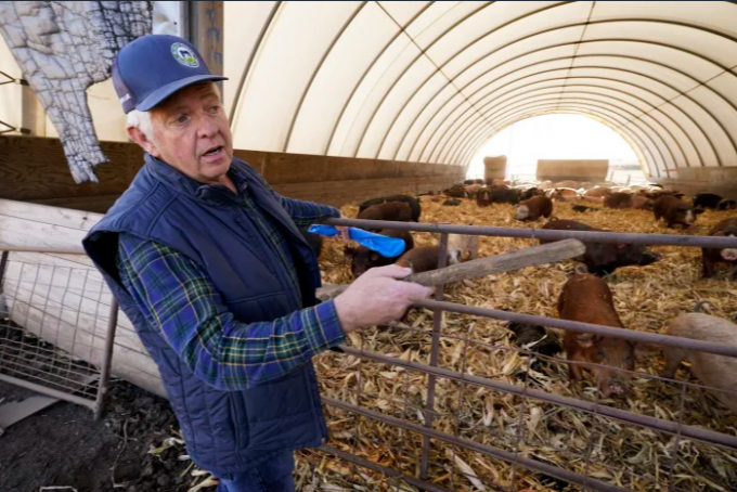 Ron Mardesen talks about his hog farming operation, Thursday, Dec. 2, 2021, near Elliott, Iowa. Mardesen already meets the California standards for the hogs he sells to specialty meat company Niman Ranch, which supported passage of Proposition 12 and requires all of its roughly 650 hog farmers to give breeding pigs far more room than mandated by the law. Photo: AP 