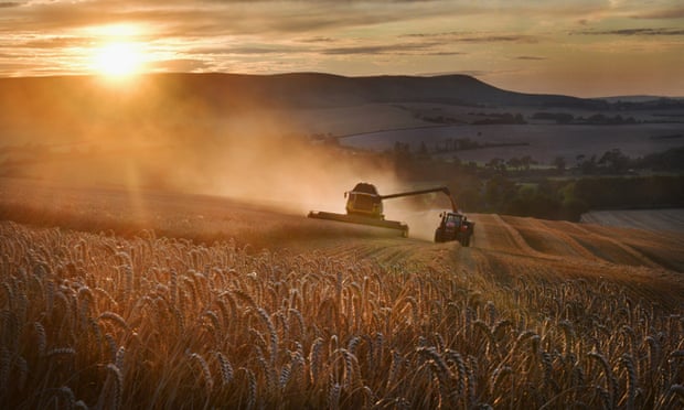 The government has still not made clear how food production fits in with its proposed new schemes,’ the NFU said. Photo: oversnap/Getty Images