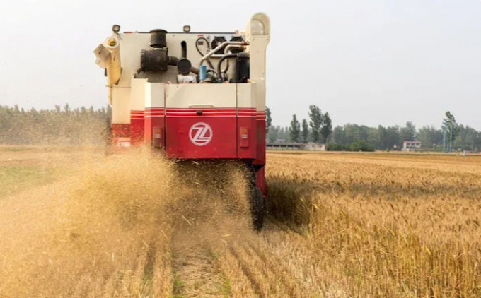 Máy gặt đập liên hợp thu hoạch lúa mì ở ngoại vi thành phố Bảo Định, tỉnh Hà Bắc (Trung Quốc). Ảnh: Reuters