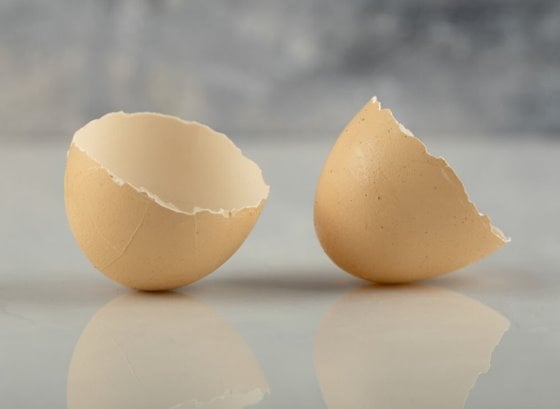 Một loại gel chiết xuất từ vỏ trứng có khả năng khôi phục làn da có thể sẽ được tung ra thị trường sớm nhất là vào năm 2024. Ảnh: Azerbaijan Stockers