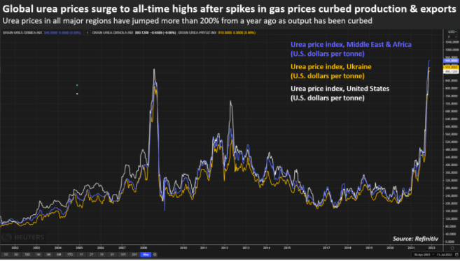 Giá phân urê toàn cầu tăng lên mức cao nhất mọi thời đại sau khi giá khí đốt tăng mạnh dẫn đến hạn chế sản xuất và xuất khẩu. Đồ họa: Reuters