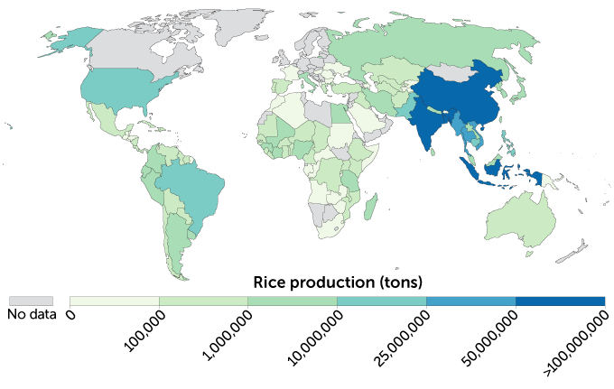 Bản đồ sản lượng lúa gạo thế giới của FAO năm 2018. (đơn vị: triệu tấn). Nguồn: Ourworldindata.org