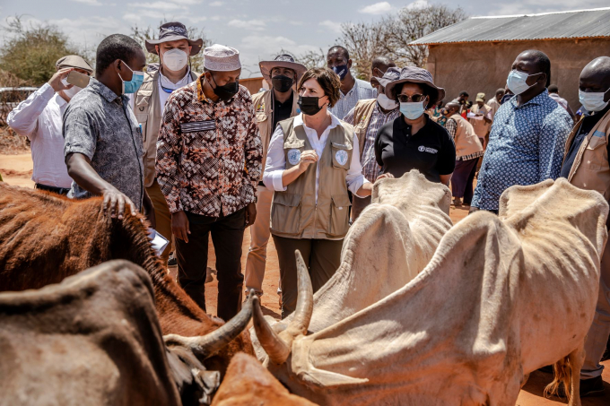 FAO Deputy Director-General Beth Bechdol visiting Emergency Livestock Supplements distribution Center in Isiolo, Kenya. Photo: FAO