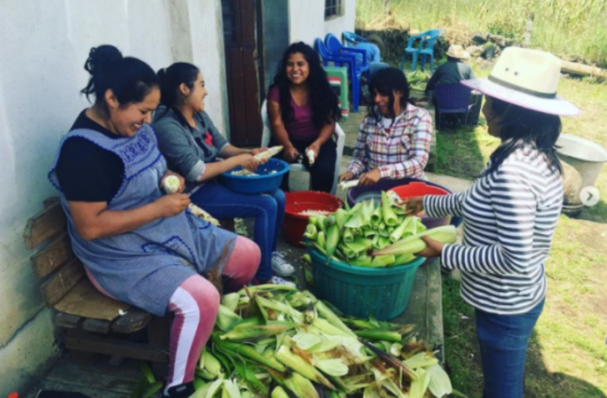 Opponents of GM corn in Mexico worry that engineered varieties could threaten the grain's biodiversity and cultural significance. Photo: Al Jazeera