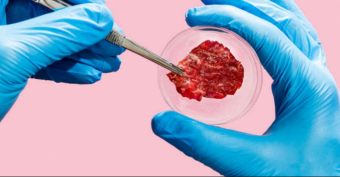 The production of artificial meat will benefit the environment. Photo: Getty