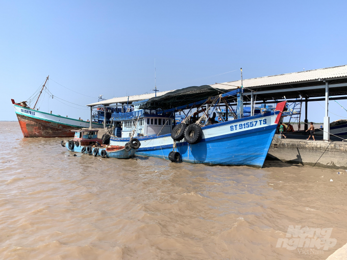 Tàu cá khai thác hải sản về cảng cá Trần Đề, tỉnh Sóc Trăng. Ảnh: HĐ