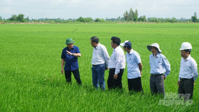 Đoàn công tác Bộ NN-PTNT tham quan, chỉ đạo sản xuất lúa trên cánh đồng lớn ở huyện Thới Lai, TP Cần Thơ. Ảnh: HĐ.