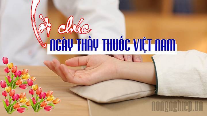 Những lời chúc Ngày Thầy thuốc Việt Nam 27/2 hay, ý nghĩa nhất năm 2022