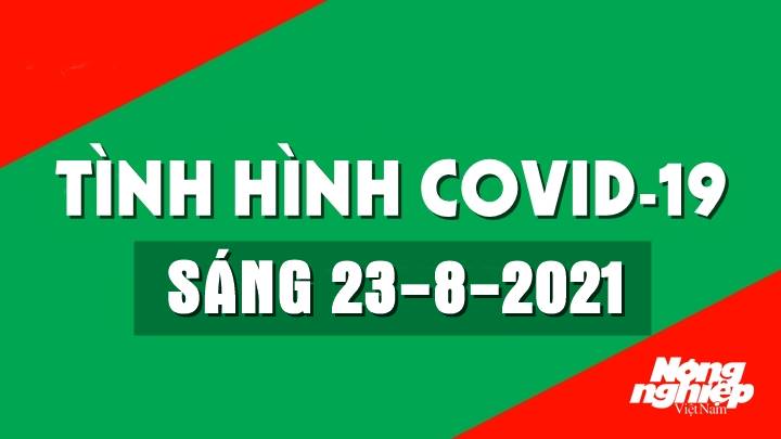 Cập nhật tình hình Covid-19 trong nước và thế giới mới nhất sáng nay 23/8/2021