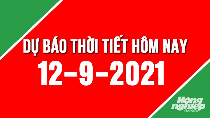 Dự báo thời tiết mới nhất hôm nay 12/9/2021