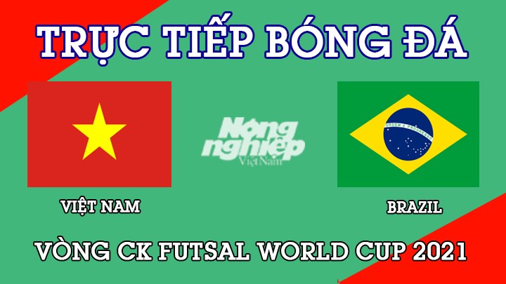 Trực tiếp bóng đá Vòng thứ 1 CK Futsal World Cup 2021 giữa Việt Nam vs Brazil