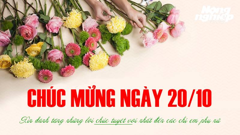 Top lời chúc Ngày phụ nữ Việt Nam 20/10 hay và ý nghĩa nhất năm 2022