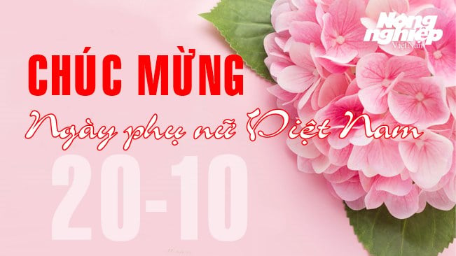 Ngày 20/10 là ngày gì? Nguồn gốc ra đời và ý nghĩa Ngày phụ nữ Việt Nam