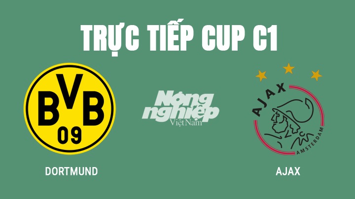 Trực tiếp bóng đá Cup C1 giữa Dortmund vs Ajax hôm nay 4/11/2021