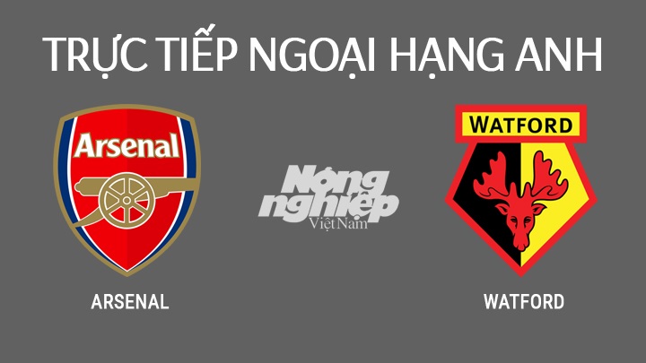 Trực tiếp bóng đá Ngoại hạng Anh 2022 giữa Arsenal vs Watford