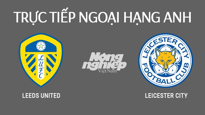 Trực tiếp bóng đá Ngoại hạng Anh 2022 giữa Leeds vs Leicester