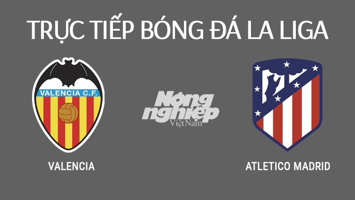 Trực tiếp bóng đá La Liga giữa Valencia vs Atletico Madrid hôm nay 7/11/2021