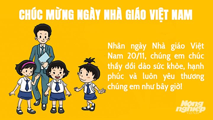 Lời chúc ngày Nhà giáo Việt Nam hay tặng bố, thầy, bạn trai