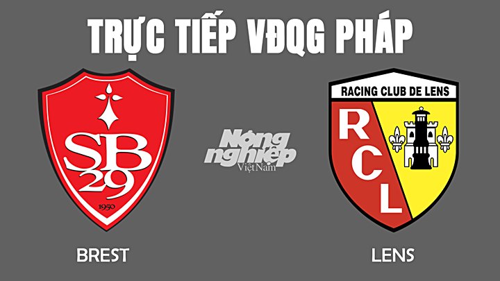 Trực tiếp bóng đá VĐQG Pháp 2022 giữa Brest vs Lens hôm nay 21/11/2021