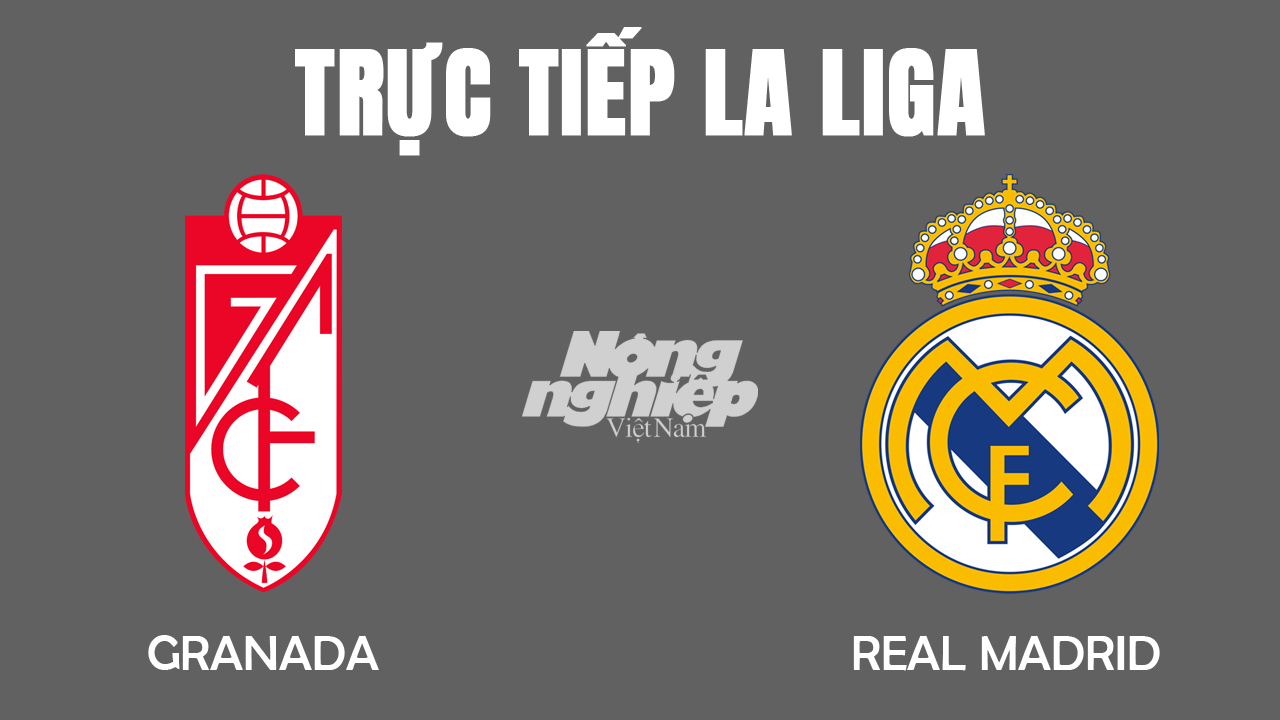 Trực tiếp bóng đá VĐQG Pháp 2022 giữa Granada vs Real Madrid