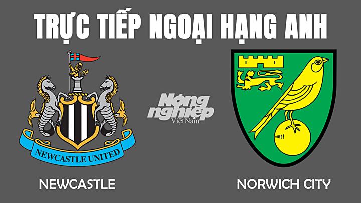 Trực tiếp bóng đá Ngoại hạng Anh giữa Newcastle vs Norwich hôm nay 1/12/2021