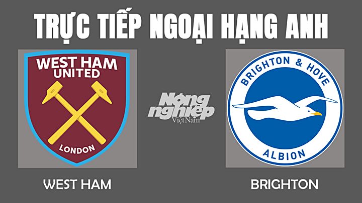 Trực tiếp bóng đá Ngoại hạng Anh giữa West Ham vs Brighton hôm nay 2/12/2021