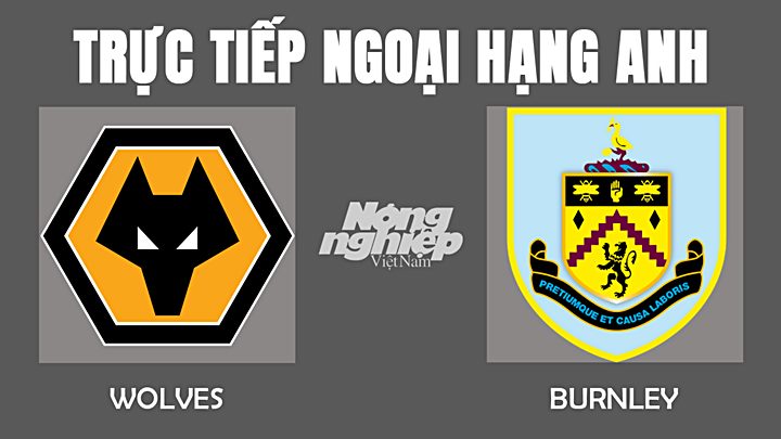 Trực tiếp bóng đá Ngoại hạng Anh giữa Wolves vs Burnley hôm nay 2/12/2021