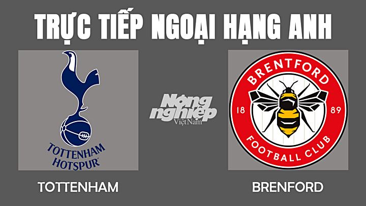 Trực tiếp bóng đá Ngoại hạng Anh giữa Tottenham vs Brentford hôm nay 3/12/2021