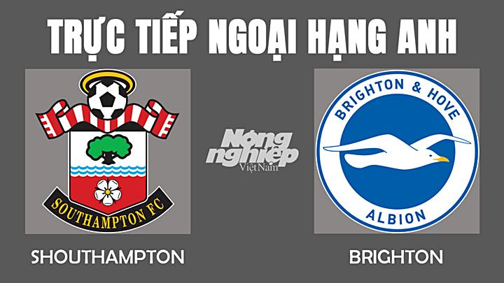 Trực tiếp bóng đá Ngoại hạng Anh giữa Southampton vs Brighton hôm nay 4/12/2021