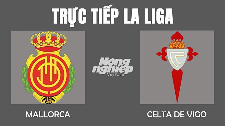 Trực tiếp bóng đá VĐQG Tây Ban Nha 2022 giữa Mallorca vs Celta