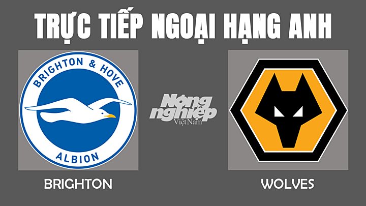 Trực tiếp bóng đá Ngoại hạng Anh giữa Brighton vs Wolves hôm nay 16/12/2021