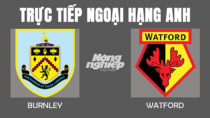 Trực tiếp bóng đá Ngoại hạng Anh giữa Burnley vs Watford hôm nay 16/12/2021